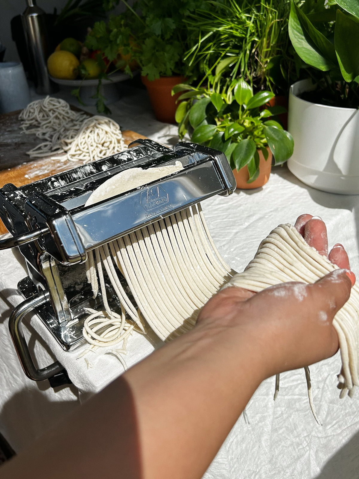 Udon stir fry